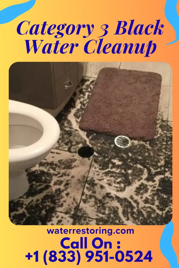 Category 3 Black Water Cleanup in Poplar Hills, KY