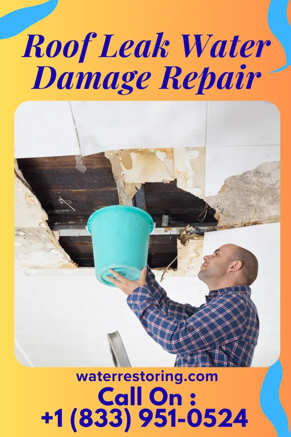 Roof Leak Water Damage Repair in Poplar Hills, KY