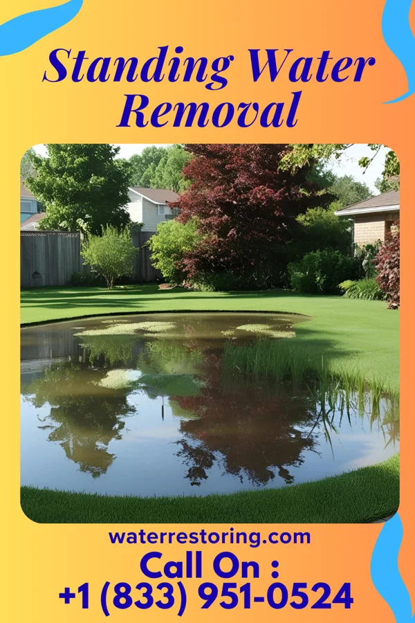 Standing Water Removal in Poplar Hills, KY